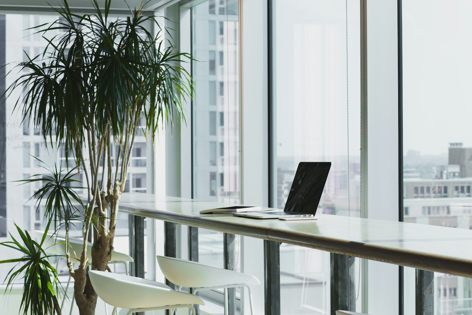 Bright open-plan studio with desks and plants